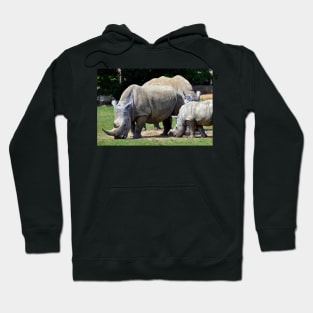 Southern White Rhino Rhinoceros Hoodie